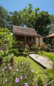 Туры в отель Kayu Mama Resort and Spa