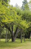 Туры в отель Dawn Ranch