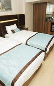 Туры в отель Anemon Usak Otel