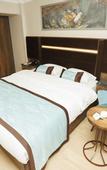 Туры в отель Anemon Usak Otel