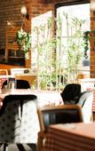 Туры в отель Anemon Usak Otel