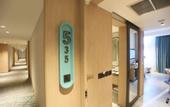 Туры в отель VIVERE Hotel, ARTOTEL Curated