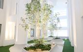 Туры в отель VIVERE Hotel, ARTOTEL Curated
