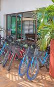 Туры в отель Hotel Rio Lagartos