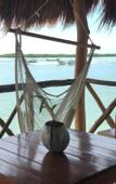 Туры в отель Hotel Rio Lagartos
