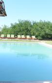 Туры в отель Hotel Rio Lagartos