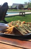 Туры в отель Hotel Rio Lagartos