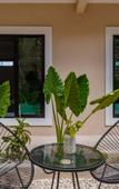 Туры в отель Hotel Colonial Zaci by GuruHotel