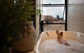 Туры в отель Taller de Juan - Casa Hotel