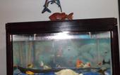 Туры в отель Hostel Lize