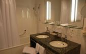 Туры в отель Hotel Schwanen