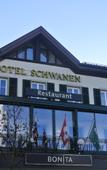 Туры в отель Hotel Schwanen