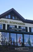 Туры в отель Hotel Schwanen