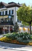Туры в отель Hotel Schwanen