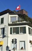 Туры в отель Hotel Schwanen