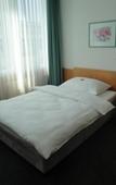 Туры в отель Hotel Schwanen