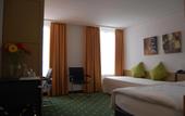 Туры в отель Hotel Schwanen