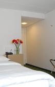 Туры в отель Hotel Schwanen