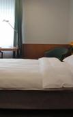 Туры в отель Hotel Schwanen