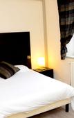 Туры в отель Logis Hotel-Restaurant Saint Romain