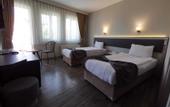 Туры в отель Hotel Temizay