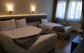 Туры в отель Hotel Temizay