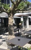 Туры в отель Hotel Sonne