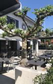 Туры в отель Hotel Sonne