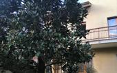 Туры в отель Flatmilan