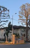 Туры в отель Casa Ananda