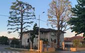 Туры в отель Casa Ananda