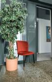 Туры в отель Hotel Morea