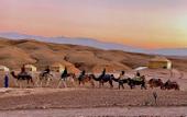 Туры в отель Agafay Luxury camp