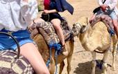 Туры в отель Agafay Luxury camp