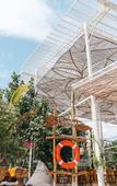 Туры в отель Mambo Beach Resort