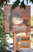 Туры в отель Mambo Beach Resort