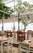 Туры в отель Mambo Beach Resort