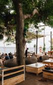 Туры в отель Mambo Beach Resort