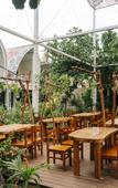 Туры в отель Mambo Beach Resort