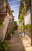Туры в отель Mambo Beach Resort