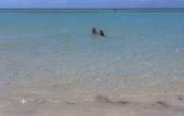 Туры в отель Costa Linda Beach Boca Chica Hotel