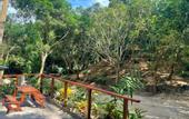 Туры в отель Hotel La Casablanca Tayrona