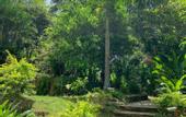 Туры в отель Hotel La Casablanca Tayrona