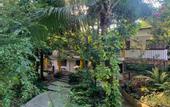 Туры в отель Hotel La Casablanca Tayrona