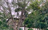 Туры в отель Hotel La Casablanca Tayrona