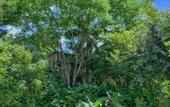 Туры в отель Hotel La Casablanca Tayrona