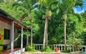 Туры в отель Hotel La Casablanca Tayrona