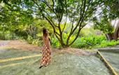 Туры в отель Hotel La Casablanca Tayrona