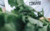 Туры в отель Masseria Corsano