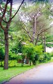 Туры в отель Toscana Wellness Resort